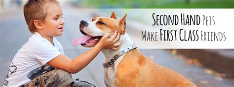 Homeward bound animal rescue - Find your furry friend at Homeward Bound Pet Adoption Center. Browse dogs, cats and other animals ready for a loving home. Apply online today. 